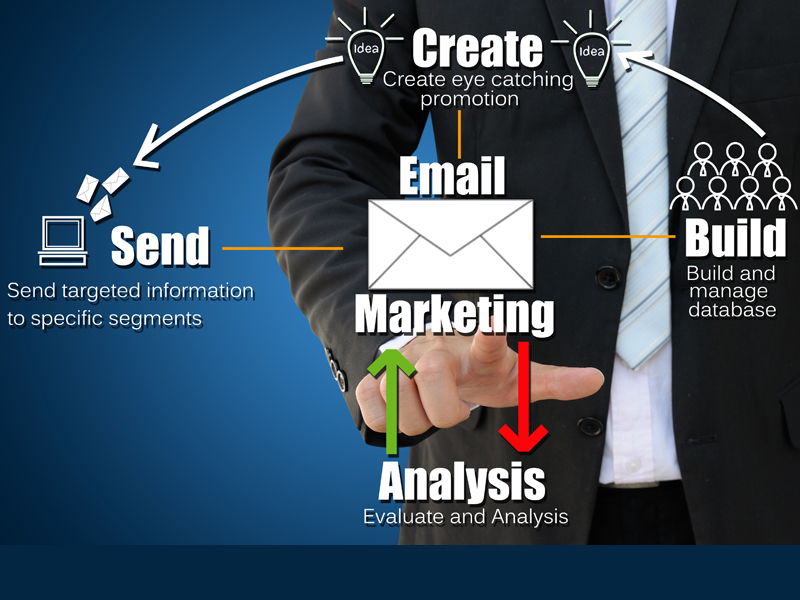 Essex Business Email Marketing Database 